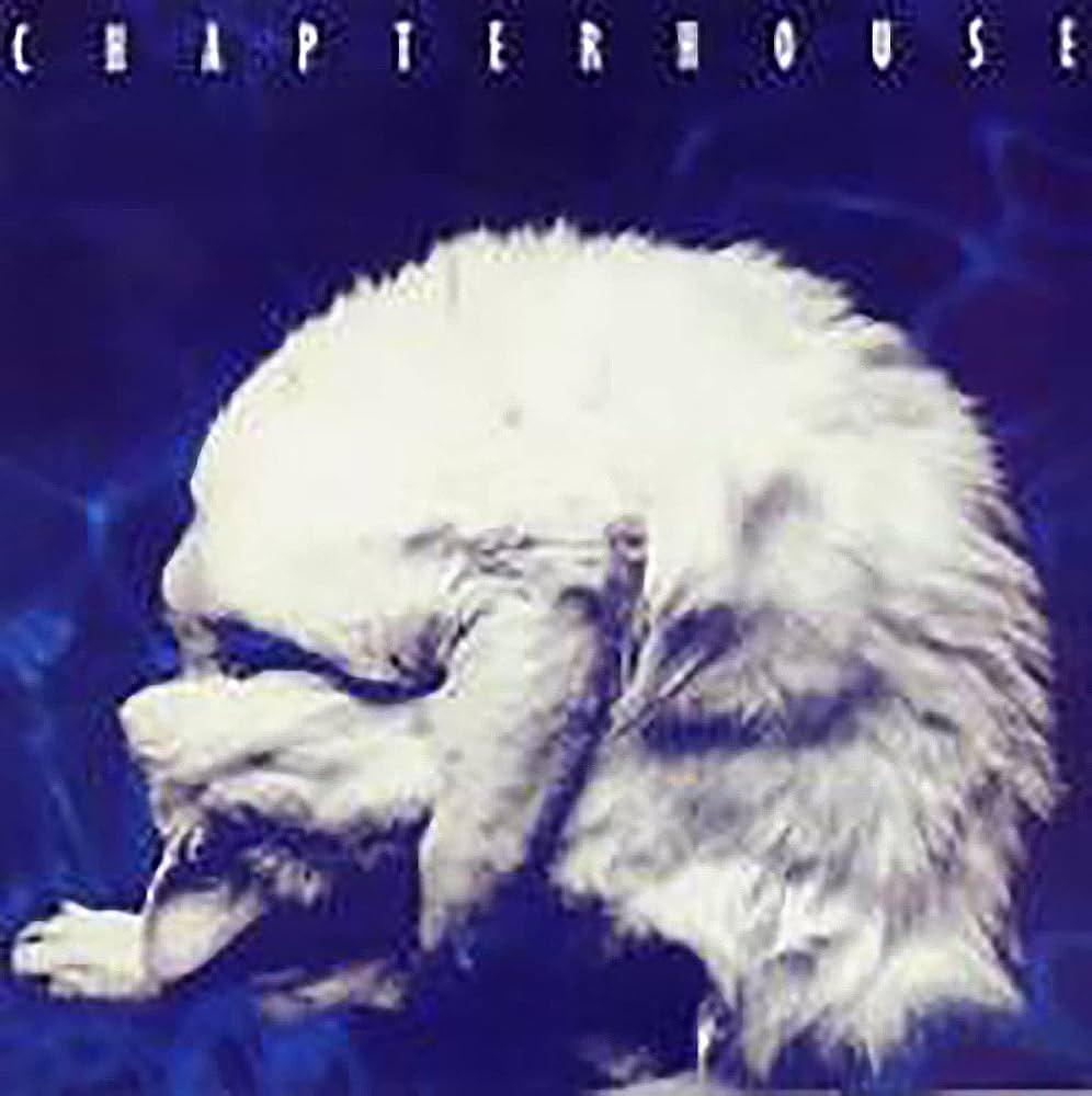 Chapterhouse / Whirlpool (White Marbled Vinyl)