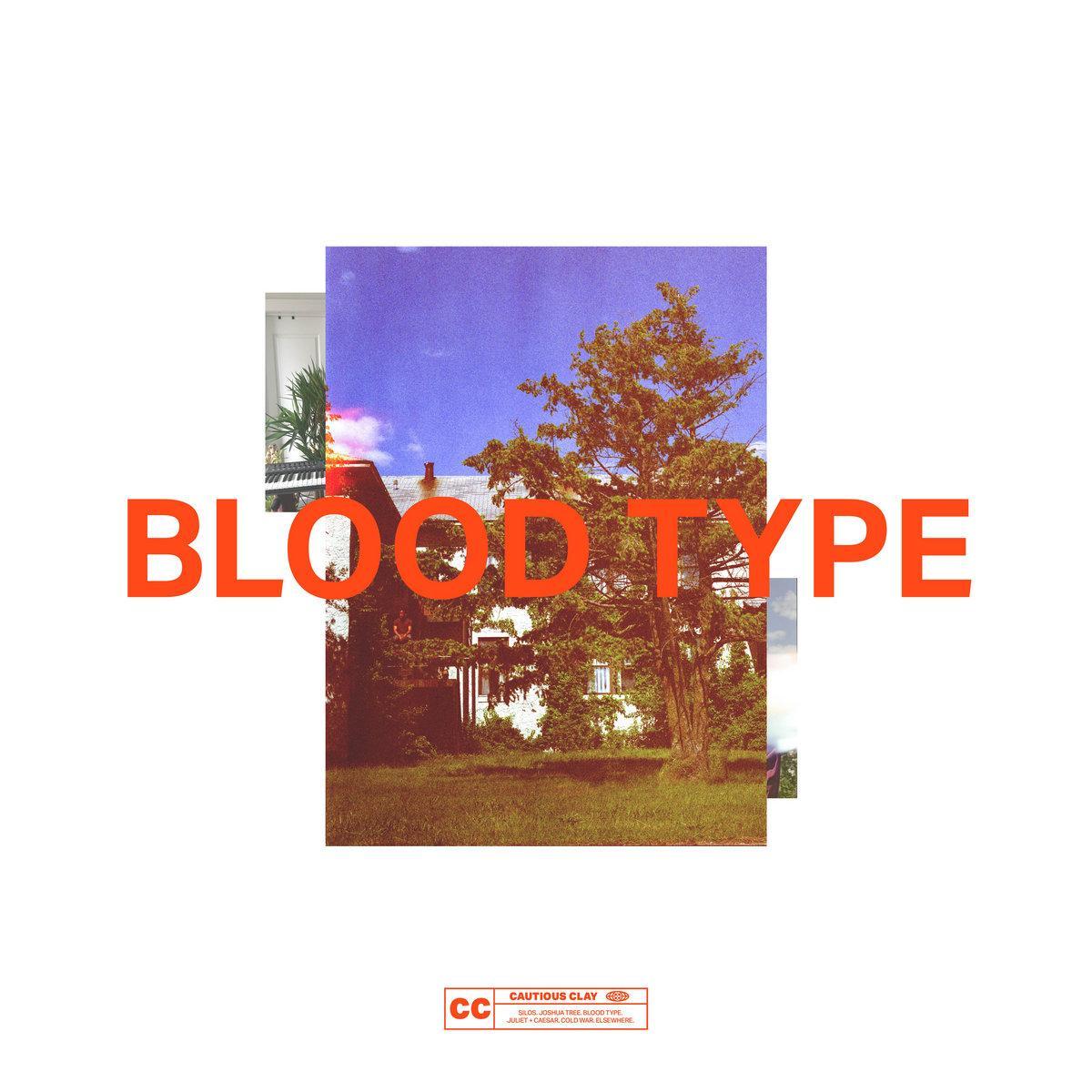 Cautious Clay / Blood Type (Transparent Red Vinyl)
