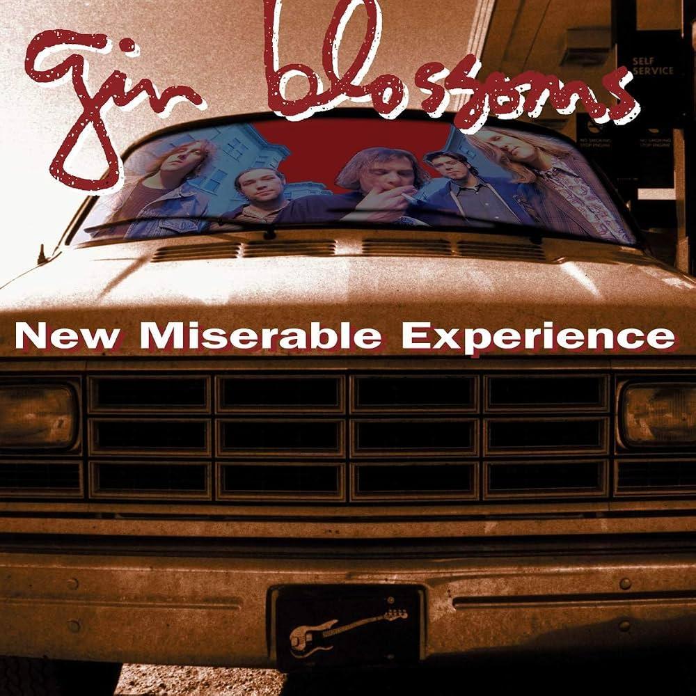 Gin Blossoms / New Miserable Experience