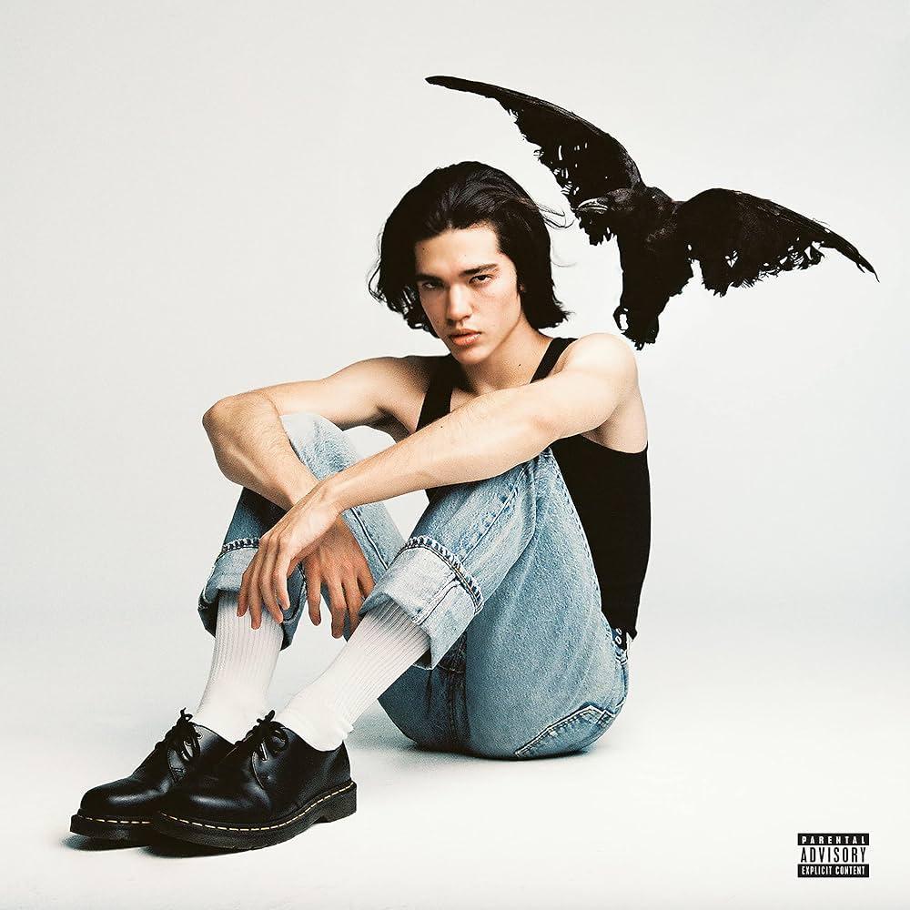 Conan Gray / Kid Krow
