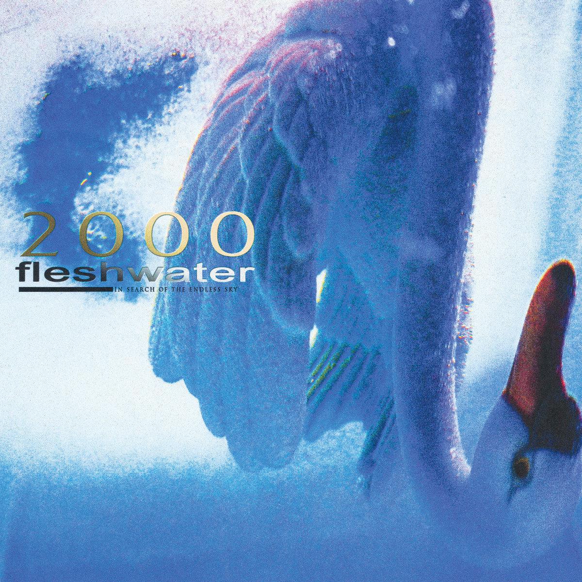 Fleshwater / 2000: In Search of the Endless Sky (METALLIC BLUE VINYL)