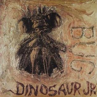 Dinosaur Jr. / Bug