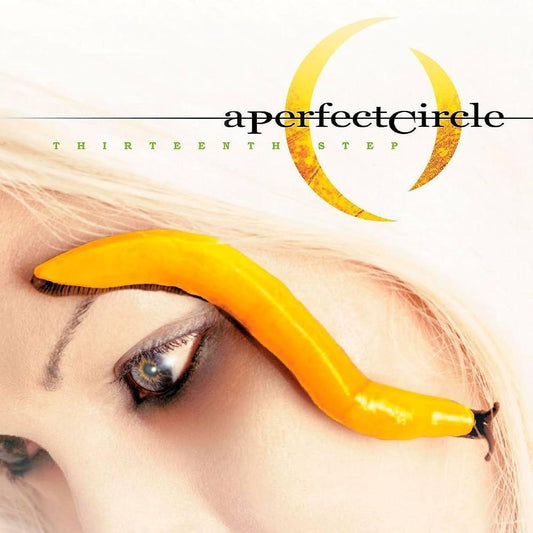 A Perfect Circle / Thirteen Step